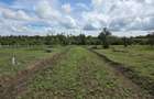 0.040 ha Residential Land in Nanyuki - 2