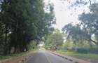 Residential Land at Karen - 6