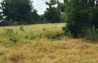 Land at Kilifi Town - 7