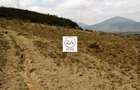 57 ac Land at Edana Road - 1