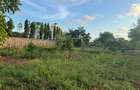 0.25 ac Land in Vipingo - 7