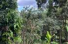 1 ac Land in Nyari - 3