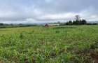 3.7 ac Land at Kiambu - 4