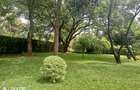 3 Bed House with En Suite at Off Runda Dr - 3