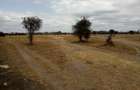 Land at Namanga Rd - 10