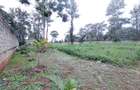 Residential Land at Runda Grove - 11
