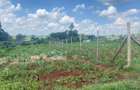 Land at Runda Panafric - 2