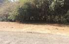 Residential Land at Tumbili Road - 6