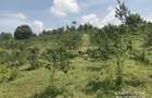 6.5 ac Land at Nandi Hills - 1