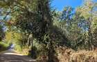 506 m² Land at Kibiko Centre Near Tarmac - 5