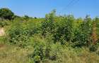 10,000 ft² Land at Shanzu - 5