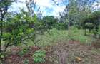 0.045 ha Land in Murang'a County - 3