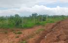 Land in Kilifi County - 8
