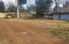 Commercial Property with Parking in Garden Estate - 4