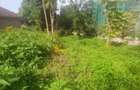 0.6 ac Land at Rhapta Road - 2