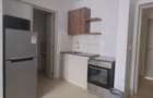 Studio Apartment with En Suite in Naivasha Road - 7