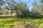 Residential Land at Kandisi - 6
