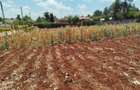 Land in Kiambu Road - 3