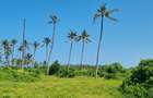 50 ac Land at Kilifi - 15