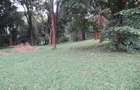 4 ac Land at Mushroom Gardens - 1