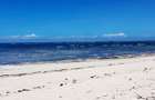 Land at Vipingo Kuruwitu - 9