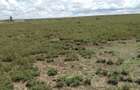 Land in Rumuruti - 4