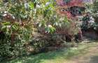4 Bed House with En Suite at Old Muthaiga - 6