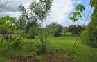 0.5 ac Land at Muthaiga North - 1
