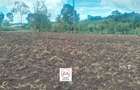 0.125 ac Land at Oloropil Ward - 8