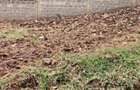 0.125 ac Land in Ruaka - 2