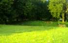 73.6 ac Land at Vipingo Kuruwitu Beach - 6