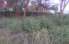 0.5 ac Land in Ongata Rongai - 12