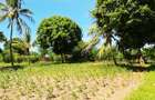 Land at Kilifi Tezo - 12