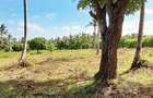 Land at Vipingo - 6