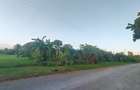 Residential Land in Nyali Area - 4