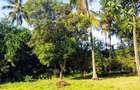 Residential Land in Nyali Area - 9