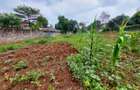 Residential Land at Pan African Insurance Avenue - 7