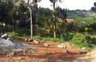 250 m² Commercial Land in Kikuyu Town - 14