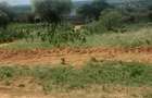 Land in Namanga - 1