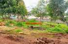 0.1 ha Commercial Land at Zambezi - 4