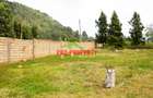 0.05 ha Residential Land in Kikuyu Town - 8