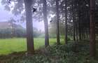 0.5 ac Land in Runda - 1