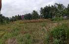 10,890 ac Land at Karen - 5