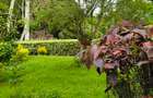 Residential Land at Hardy Area - 6