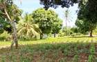 Land at Kilifi Tezo - 16