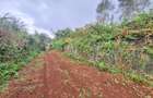 Residential Land at Runda Grove - 10