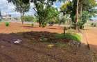 0.125 ac Land in Kahawa West - 1