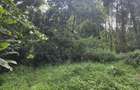 Residential Land in Kitisuru - 5