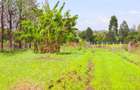 0.125 ac Land at Sagana - 2