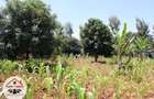 700 m² Residential Land at Kamuita Area - 2